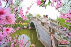 沪上首个“花节”再升级 上海